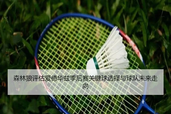 森林狼评估爱德华兹季后赛关键球选择与球队未来走向