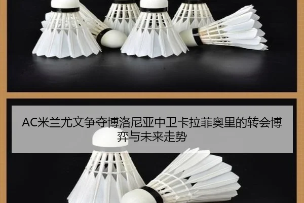 AC米兰尤文争夺博洛尼亚中卫卡拉菲奥里的转会博弈与未来走势（kaiyun）